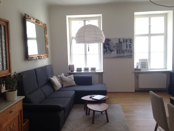 This gorgeous 2 bedroom apartment is located in the very heart of Vienna! It's a Vienna, Austria Lovely Flat in the heart of Vienna Entire rental unit vacation rental 6346159