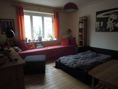 You will stay in the livingroom, it is your private space during the time you ha Copenhagen, Denmark Nice room in central location Private room in rental unit vacation rental 34835494