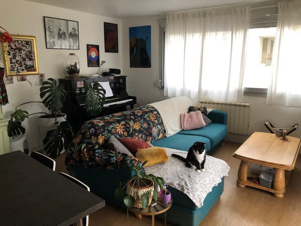 Jolie chambre de 10m2 dans un appartement de 70m2 comprenant une belle pièce de  Lyon, France Chambre privée Lyon 7 Private room in rental unit vacation rental 772487119684907709