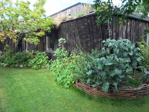 Nybygget hus i naturmaterialer med indvendige ler-vægge og lofter.  Huset er 100 Copenhagen, Denmark Unikt hus i hyggelig og familievenlig haveforening Entire home vacation rental 22918715