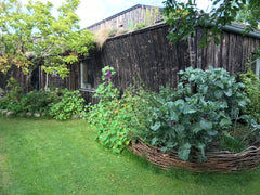 Nybygget hus i naturmaterialer med indvendige ler-vægge og lofter.  Huset er 100 Copenhagen, Denmark Unikt hus i hyggelig og familievenlig haveforening Entire home vacation rental 22918715