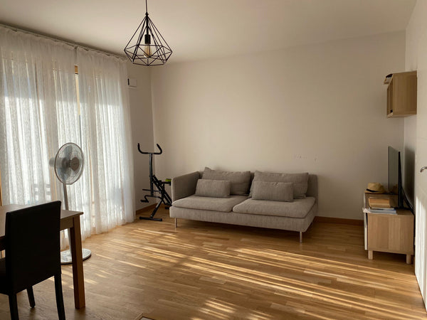 Appartement idéalement situé proche de tous commodités (20 min de la gare part-d Paris, France Lyon: cozy apartment Entire rental unit vacation rental 690954162442288588