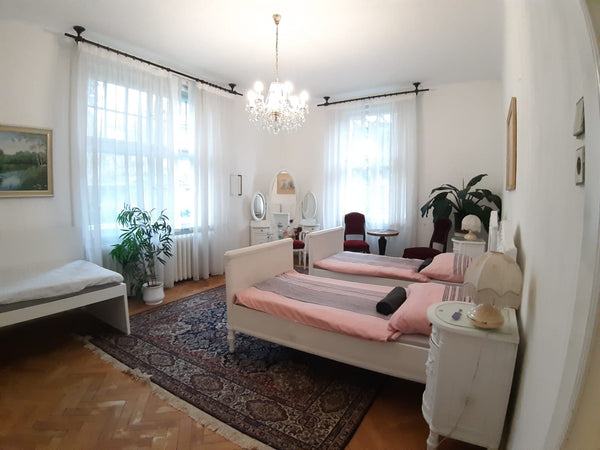 The Villa was built in the 1930s for the Prague elite class.  It has since been  Prague, Czechia Deluxe Villa Room with Swimming Pool Private room in villa vacation rental 37987203