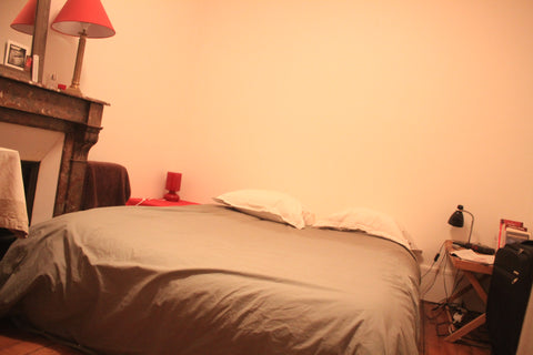 A room in a 46m2 nice flat situated about 20 minutes away from the Eiffel Tower  Paris, France Nice room in Paris XV! Private room in rental unit vacation rental 3390689