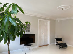 Our lovely 5 room apartment, is very open and only 500 meters from the central s Copenhagen, Denmark 5 rooms, 153m2 w. balcony in the center of CPH Entire condo vacation rental 53493607