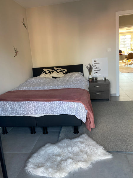 Welcome in my relaxing appartment in Gent! <br />Your room, with boxspringbed an Ghent, Belgium Fresh, spacious, quiet, modern room with boxspring Private room in rental unit vacation rental 629624959427602208