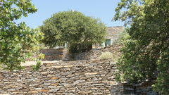 Magnificent Aegean Sea views of five Cycladic Islands from a charming stone cott Greece Charming stone cottage in a rare Royal Oak forest Entire home vacation rental 6962494