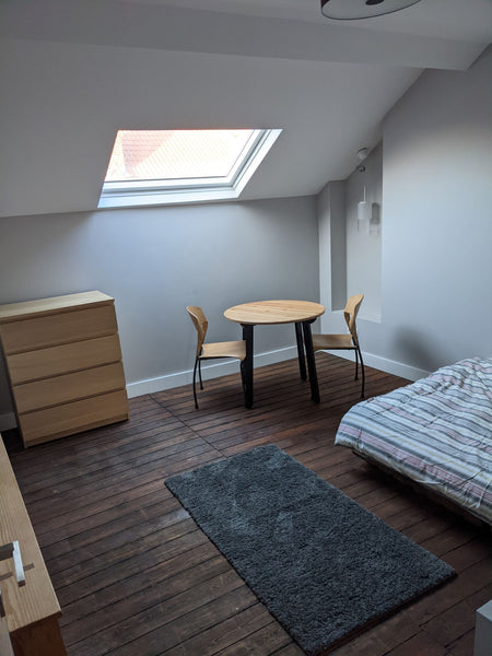 Appartement entièrement rénové et très cosy. Très lumineux.<br />La cuisine ouve Schaerbeek, Belgium Chambre cosy à 10min à pied de la Gare du Nord Private room in rental unit vacation rental 48376103