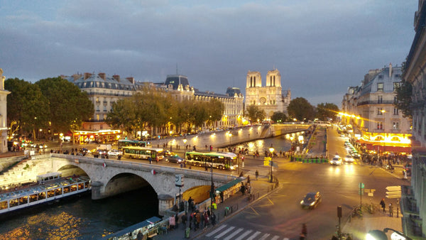 Cet appartement de 25m2 est parfait pour un couple. Il est composé d'une chambre  Appartement authentique avec vue sur Notre-Dame Entire rental unit vacation rental 21522104