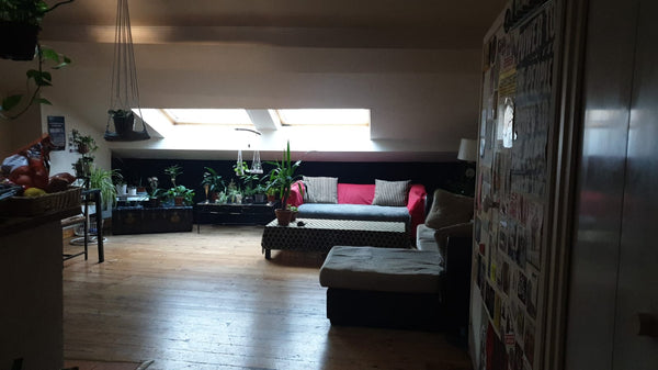 Ce logement chaleureux, sous les toits, typiquement lyonnais est idéalement situ Lyon, France Loft cosy sous les toits,  proche Bellecour Private room in loft vacation rental 44412363