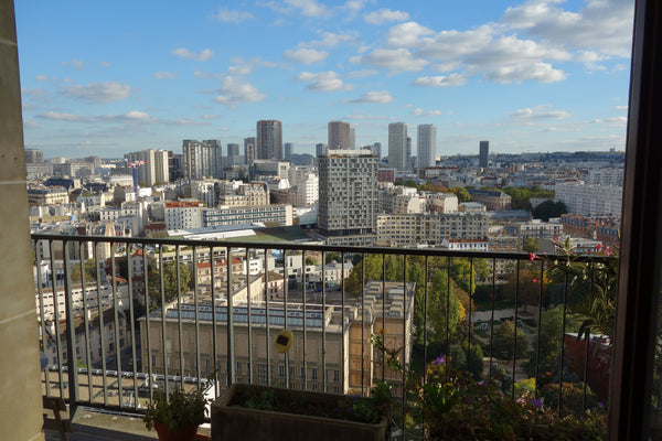 Appartement de 50 M2, plein de charme, avec terrasse de 10 M2, dans une résidenc Paris, France Grand 2 pièces calme et lumineux, vue panoramique. Entire condo vacation rental 418974