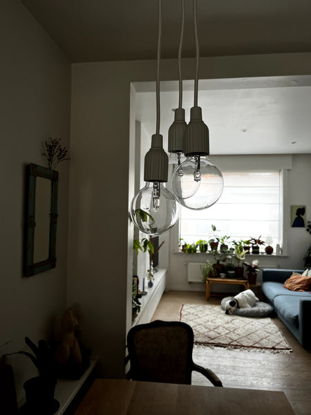 Deze woning is enkel te huur vanaf 7, 8 of 9 april t.e.m. 24 of 25 juni. <br />< Ghent, Belgium Gezellig rijhuis met tuin in Gent Entire townhouse vacation rental 583986111408972604