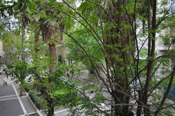 Fully furnished first floor flat located on the beautiful and popular Embedokleo Athens, Attica, Greece Artistic house on cozy street! Entire condo vacation rental 18067139