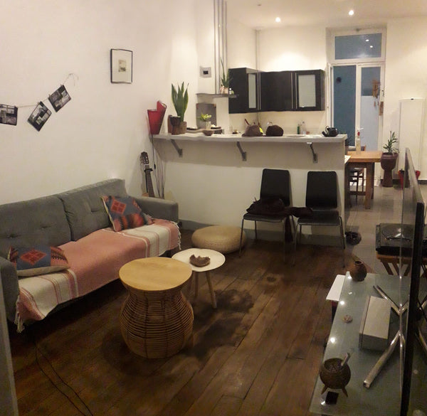 Lyon, France T2 42m2 metro jean mace Entire rental unit vacation rental 37542071