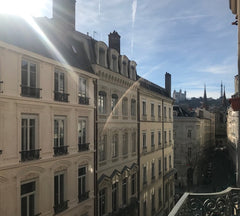appartement calme, lumineux, avec vue (le rhône à gauche et la cathédrale de fou Lyon, France appartement avec vue en presqu’île Private room in rental unit vacation rental 42503716