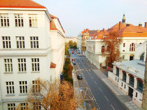 Our bright and spacious apartment is newly renovated and has a comfy and warm ho Prague, Czechia Large 2BR close to major sites M2B Entire condo vacation rental 6299372