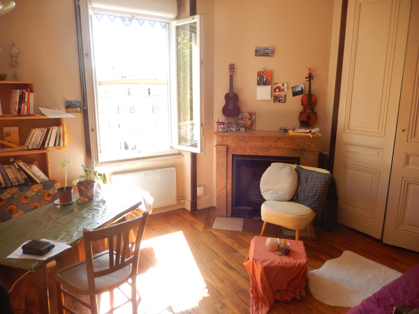 Charmant appartement de 30m2, dans le quartier vivant et animé Jean Macé, proche  Appartement cosy quartier Jean Macé Entire rental unit vacation rental 44624579