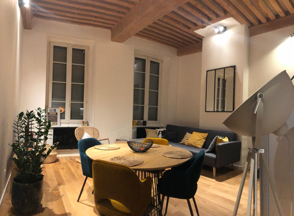 Appartement parfaitement situé dans les prémisses des pentes de La Croix Rousse. Saint-Étienne, France Appartement moderne Croix Rousse Entire rental unit vacation rental 40112919