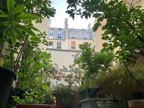 Très bel appartement atypique de 54 m2 dans le 11 ème arrondissement. L'appartem Paris, France La campagne à Paris Entire rental unit vacation rental 9880646