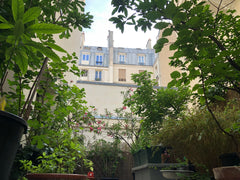 Très bel appartement atypique de 54 m2 dans le 11 ème arrondissement. L'appartem Paris, France La campagne à Paris Entire rental unit vacation rental 9880646