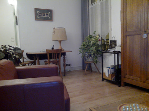 Appartement situé au 2ème étage, sans ascenseur, d'un petit immeuble, constitué   2 pièces 14ème près Montparnasse Entire condo vacation rental 17940767