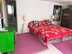 Stort værelse med  blandt andet 2 senge, sofa og spisebord. Gang til lille toile Denmark Farverig lille bolig i det livlige latinerkvarter Entire condo vacation rental 45075447