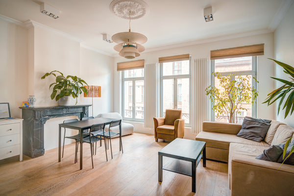 Right in the historic heart of Antwerp, we host a fully equipped, ultra renovate Antwerp, Belgium Greenplace Lodge Apartment in Heart Of Antwerp S2 Entire rental unit vacation rental 41148164