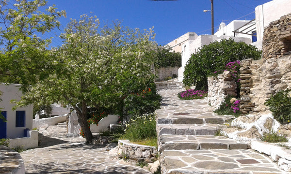 Traditional house in “Chorio” with 2 double beds, 2 bunk beds, 2 bathrooms, full New York, NY Traditional House in Sikinos (Chorio) Cycladic home vacation rental 18701644