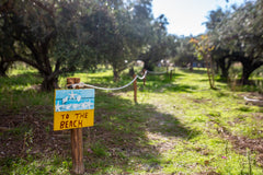 Ο χώρος μας είναι ιδανικός για χαλάρωση, άνετος και μακριά από το θόρυβο της πόλ Greece Sofi 's apartment 1 Entire home vacation rental 36125780