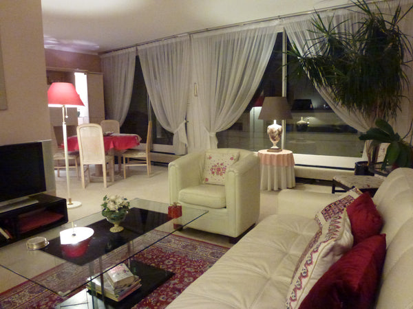 L'appartement bien équipé, se situe dans le 15 ème,à 10 min à pied du parc des e Orry-la-Ville, France grd appart balcon parking 800m pteVersailles6j min Entire condo vacation rental 19467594