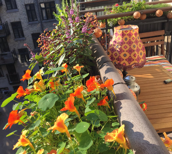 Charming apartment in the hippest area in Copenhagen - Vesterbro. Central but qu Copenhagen, Denmark Cosy apartment with great bed in Central Vesterbro Entire condo vacation rental 39812161