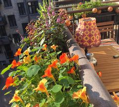 Charming apartment in the hippest area in Copenhagen - Vesterbro. Central but qu Copenhagen, Denmark Cosy apartment with great bed in Central Vesterbro Entire condo vacation rental 39812161