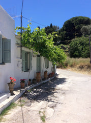Great for walkers and animal lovers, this accommodation is part of a former "Kaf Mourne, Greece Gina's Rooms Entire guest suite vacation rental 9469144