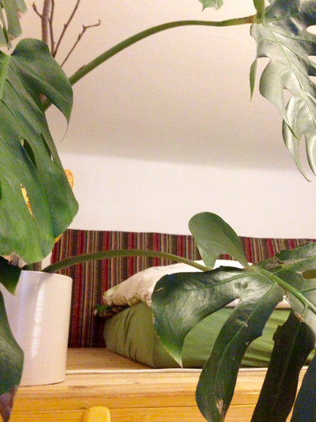 <b>Guest access</b><br />You are more than welcome to use our big living room (w Austria Cosy treehouse-room within best district in town Private room in rental unit vacation rental 21969651