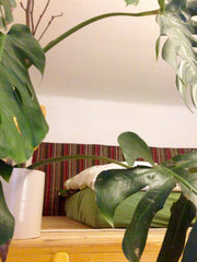 <b>Guest access</b><br />You are more than welcome to use our big living room (w Austria Cosy treehouse-room within best district in town Private room in rental unit vacation rental 21969651