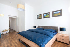 Enjoy your stay in Prague in our cozy flat near the center of the city! <br />We Lipník nad Bečvou, Czechia Evans accommodation: New flat near the city center Entire rental unit vacation rental 39722452