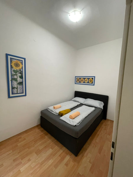 This beautiful apartment is perfectly located, extremely close to the well-known Vienna, Austria Spacious 2BR Apt. Next to the Danube River Entire rental unit vacation rental 700047319515012066