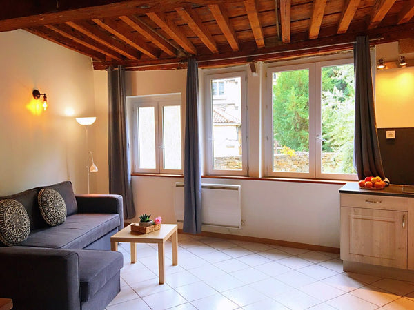 Appartement de Charme et tranquille dans un immeuble ancien.<br />Situé dans le   Appart sur colline de fourvière Entire rental unit vacation rental 36272603