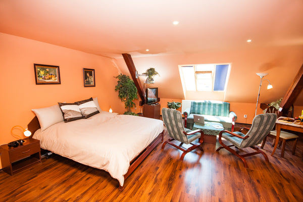 A  charming studio with A/C can accommodate up to 4 people.  <br /><br />The apa Prague, Czechia City Center Heights  No.4 Studio Entire rental unit vacation rental 668858