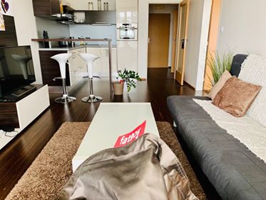 Beautiful and cozy fully furnished apartment in a calm residential area, just 15 Prague, Czechia Beautiful and cozy apt, calm area, centre 15min Entire rental unit vacation rental 5063255