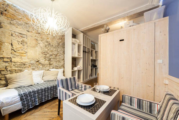 Furnished apartment for 3 people, with double wall bed and sofa bed 1 place. Ide Rillieux-la-Pape, France Charming Studio - Hypercenter - Cordeliers Entire rental unit vacation rental 10793784
