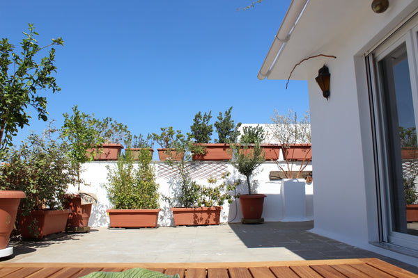 Feel Athenian For A While in a totally renovated, super-cozy rooftop studio with Chêne-Bougeries, Geneva, Switzerland Athenian For a While I - Amazing Rooftop Studio Entire rental unit vacation rental 38280338