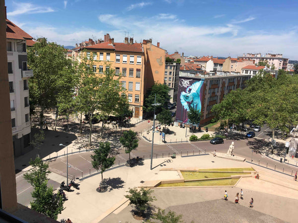 En plein cœur du quartier de la Croix Rousse (périmètre Unesco), appartement trè Lyon, France Appartement canut vue dégagée coeur Croix-Rousse Entire rental unit vacation rental 25577815