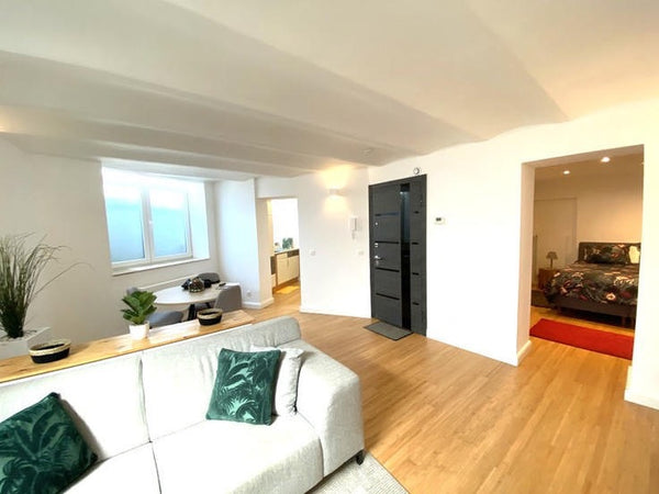 Appartement 1 chambre  meublé situé dans le quartier Flagey/Bailli/Châtelain <br  AXL dans le quartier de Flagey - Châtelain -Bailli Entire rental unit vacation rental 50174308