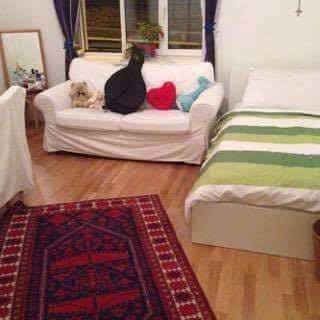 I am close to Heiligenstadt(U4) Station. It just takes 20 minutes to get into ce Vienna, Austria Clean tidy room for female-Single room Private room in rental unit vacation rental 26665749
