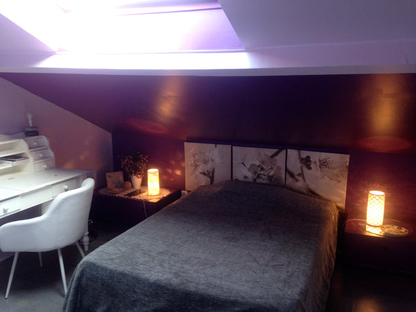 chambre avec salle de bains indépendante, wifi <br />chauffage et clim Lyon, France chambre contemporaine en sous pente Private room in rental unit vacation rental 9769779