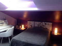 chambre avec salle de bains indépendante, wifi <br />chauffage et clim Lyon, France chambre contemporaine en sous pente Private room in rental unit vacation rental 9769779