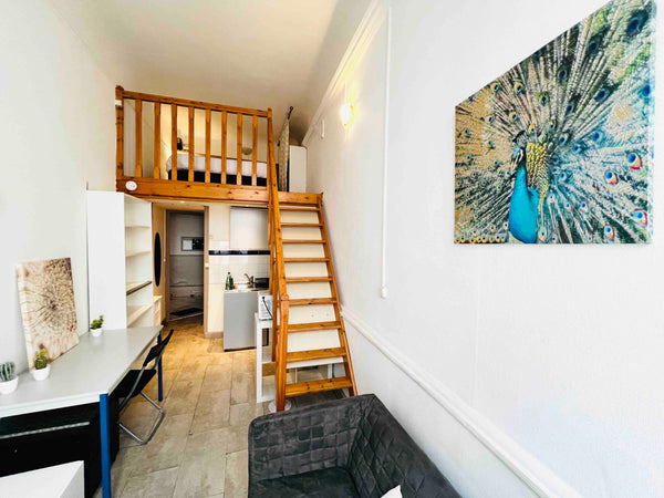 En plein cœur de la presqu’ile de Lyon, à deux pas de la place Bellecour, dans u Lyon, France ✨NID DOUILLET CHIC PLACE BELLECOUR Entire rental unit vacation rental 639002776665946825