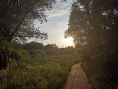 Geniet van ons comfortabel appartement vlak aan natuurgebied Hobokense Polder. O Antwerp, Belgium Apartment next to nature parc near Antwerp city Entire loft vacation rental 18849323