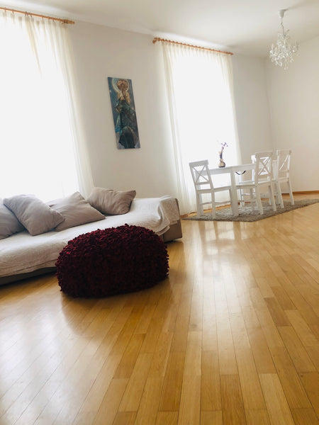 Vienna, Austria My Cosy Downtown Boutique Apartment Entire rental unit vacation rental 48190018